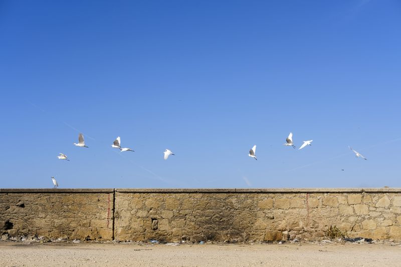 © Stella Laurenzi - Image from the Iftar photography project