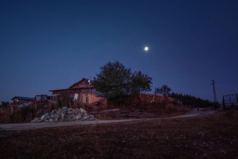 © Vladimir Karamazov - The grandmother's little house