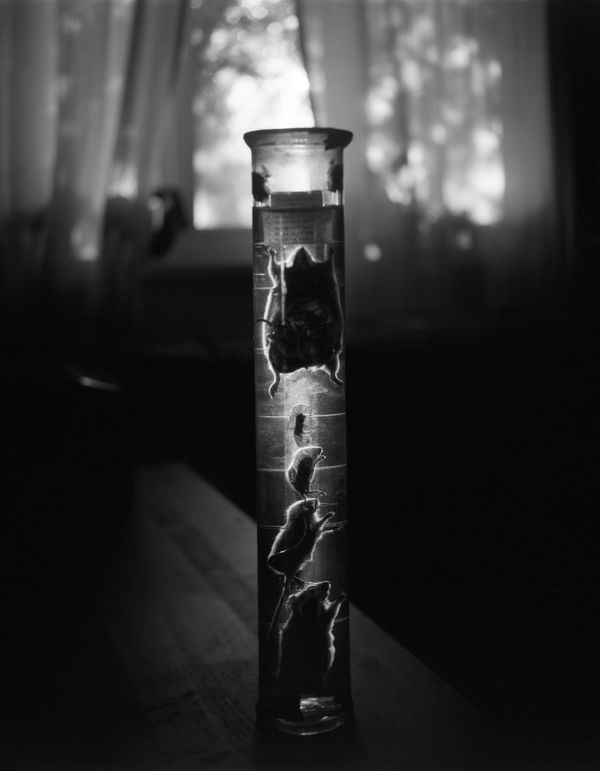 © Vladimir Karamazov - Image from the 40 DAYS photography project