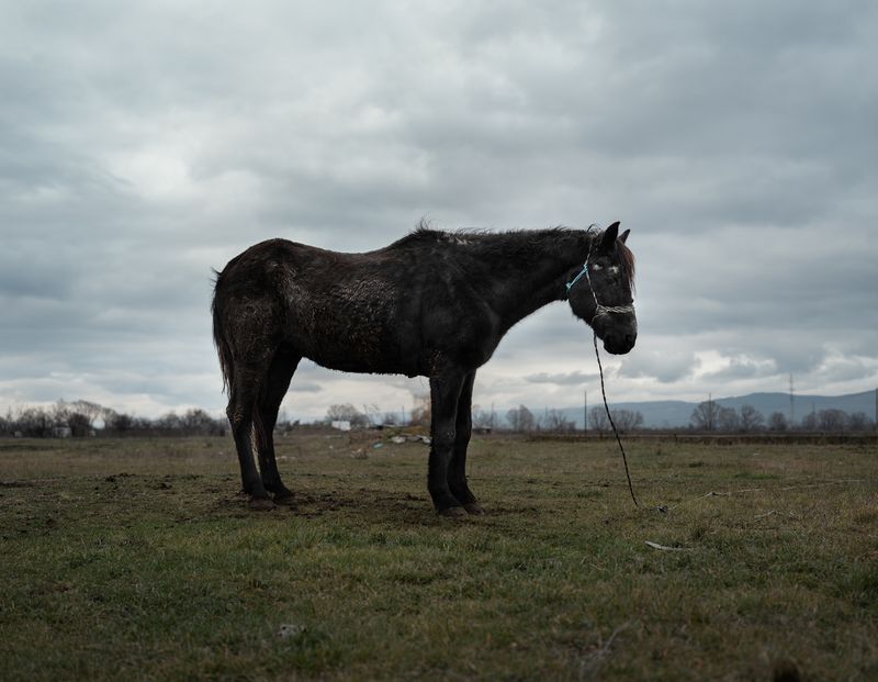 © Vladimir Karamazov - Image from the 40 Days photography project