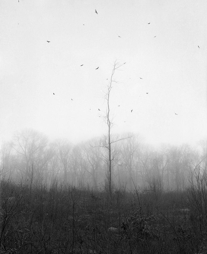 © Paul Guilmoth - Image from the egg-white moon / an eternity for fish photography project