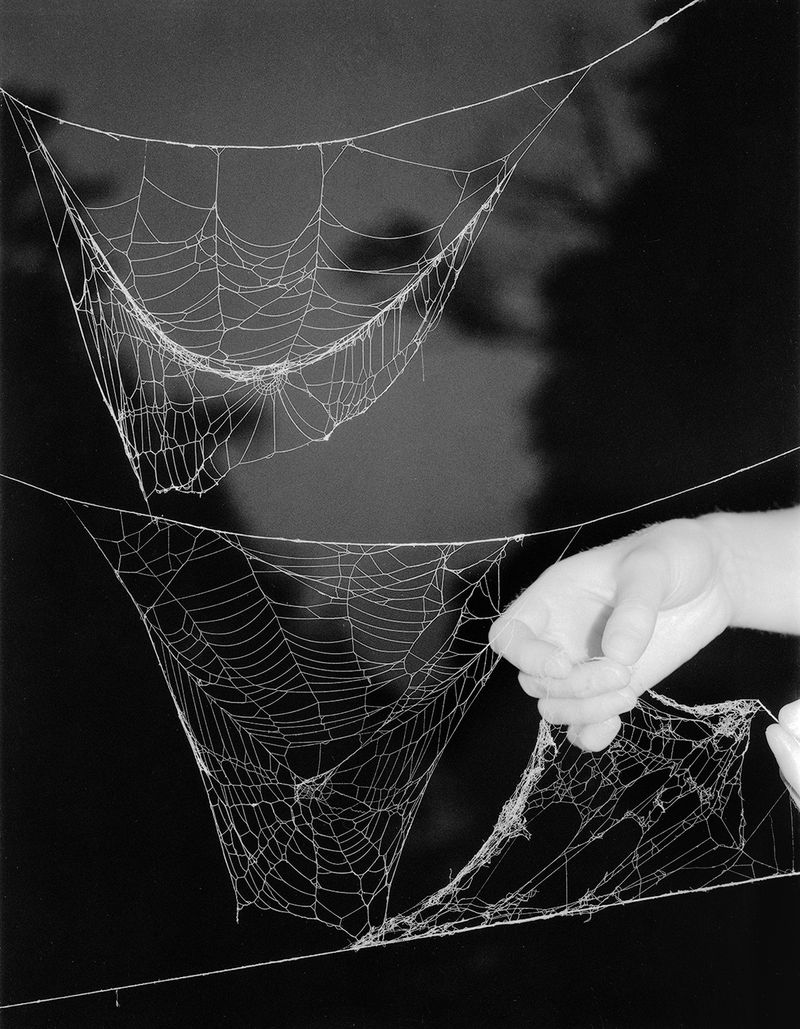© Paul Guilmoth - Image from the egg-white moon / an eternity for fish photography project