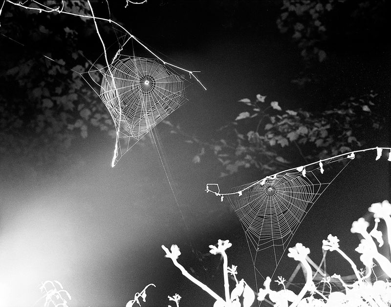 © Paul Guilmoth - Image from the egg-white moon / an eternity for fish photography project