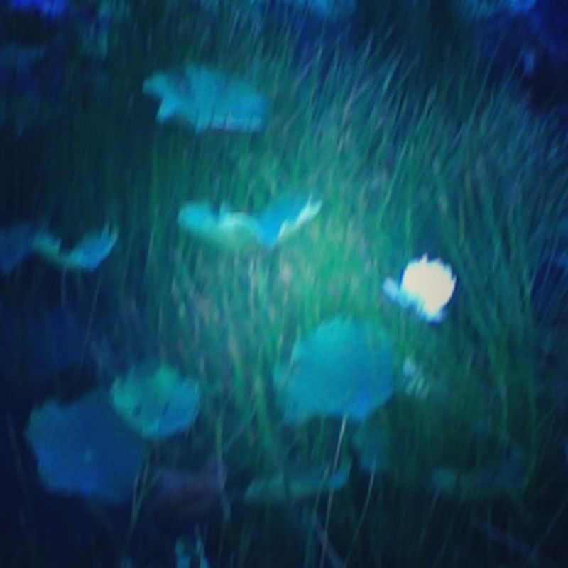 © Pham Phuoc Nhut Minh - Image from the Stay A While photography project