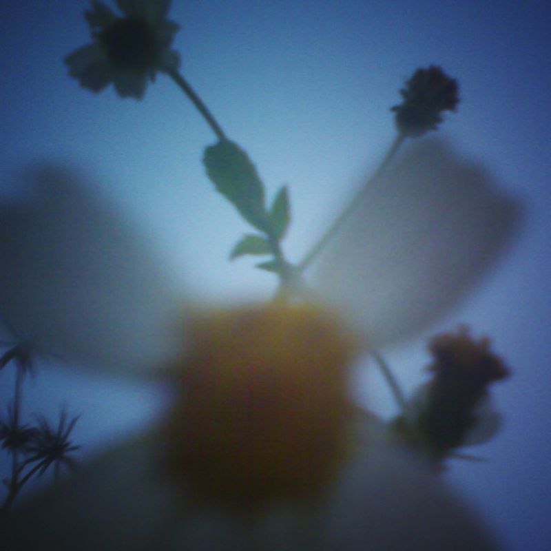 © Pham Phuoc Nhut Minh - Image from the Stay A While photography project