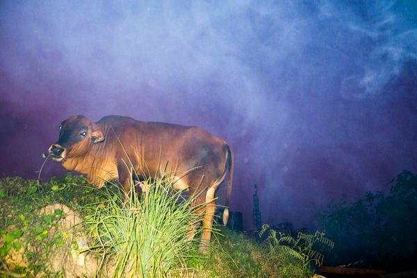 © Pham Phuoc Nhut Minh - Image from the Small City, Big Soul photography project