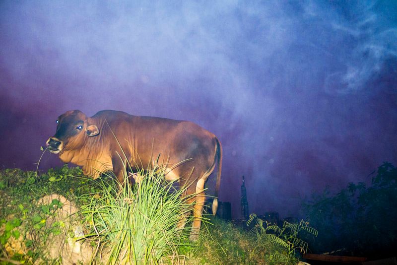 © Pham Phuoc Nhut Minh - Image from the Small City, Big Soul photography project