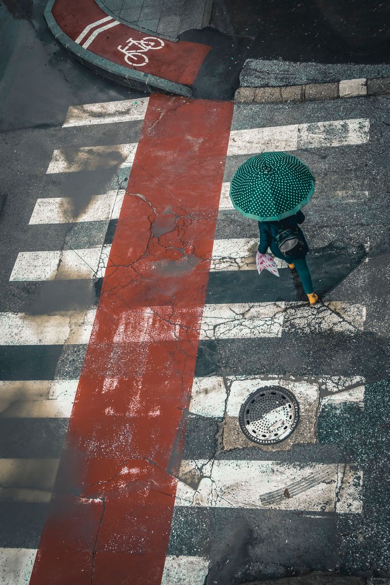 © Meri Boshkoska - Zebra crossing