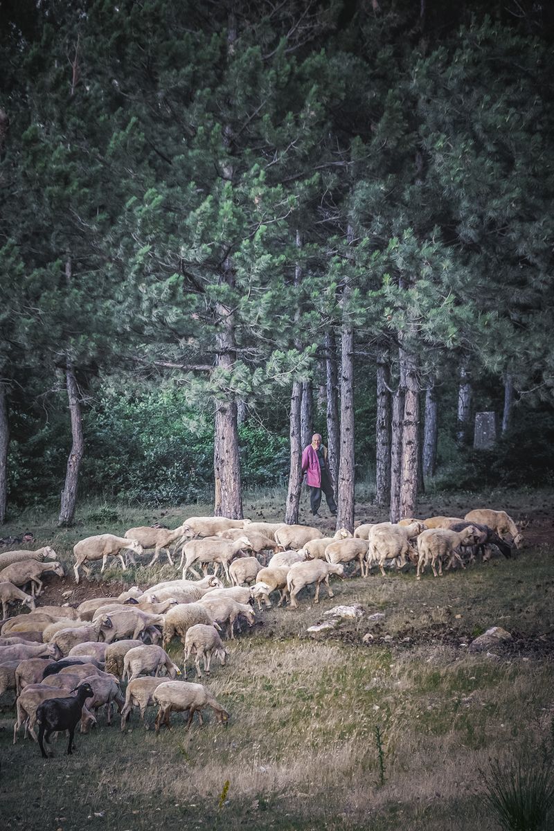© Meri Boshkoska - Image from the Everyday life through my lens photography project