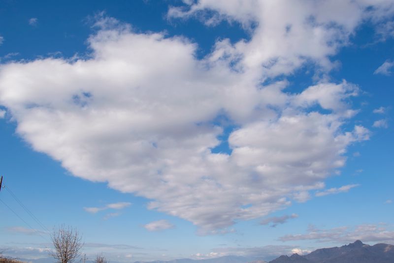 © Meri Boshkoska - Heart 1