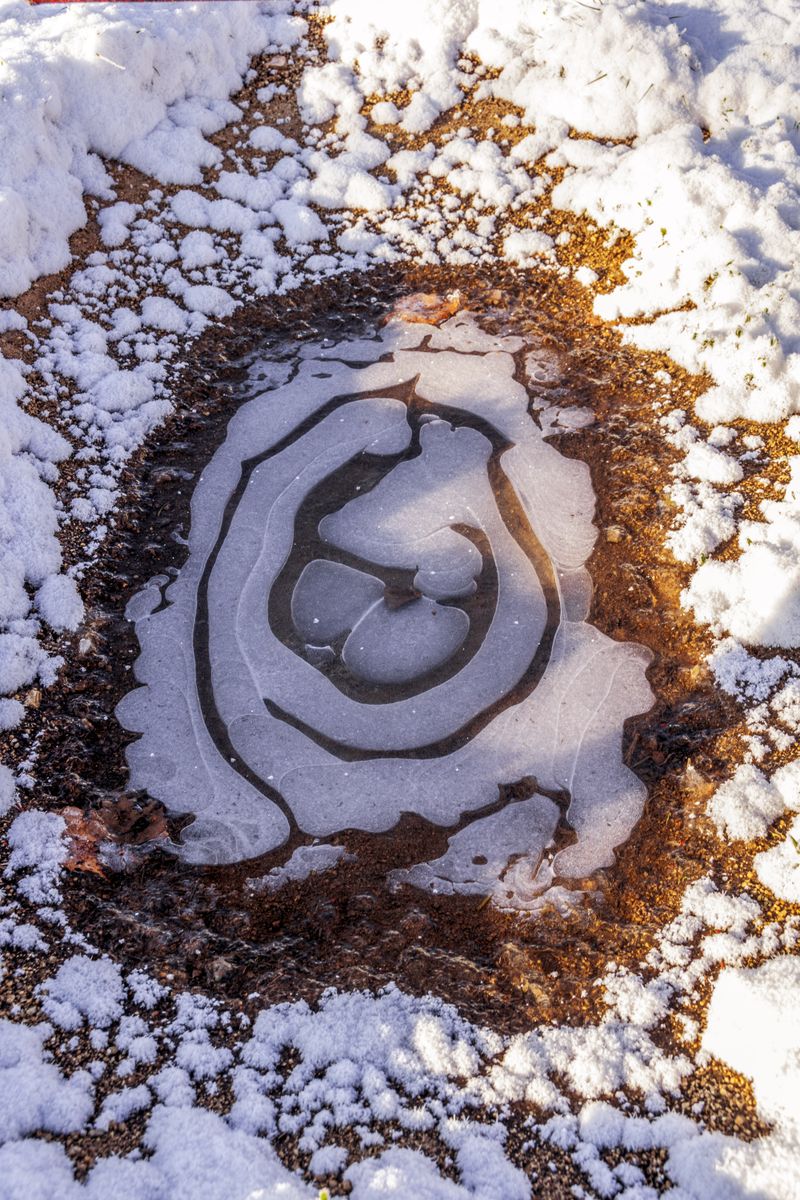 © Meri Boshkoska - Freezing moment 1