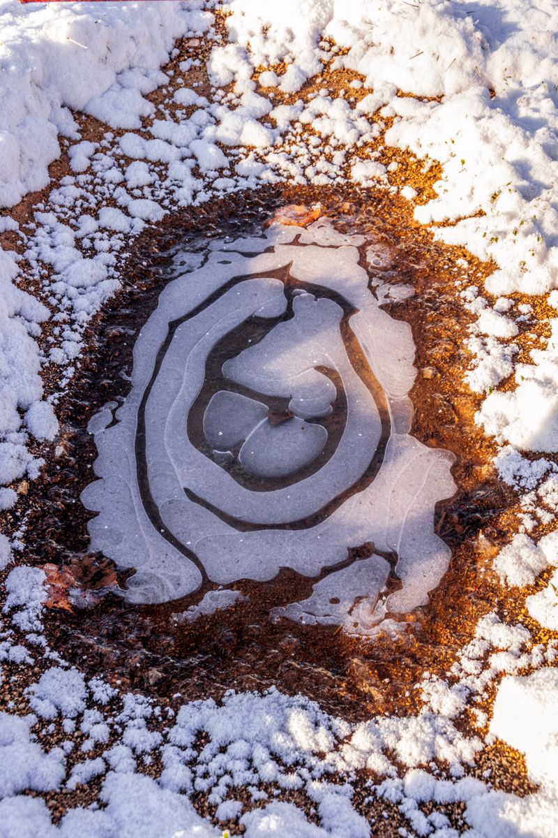 © Meri Boshkoska - Freezing moment 1