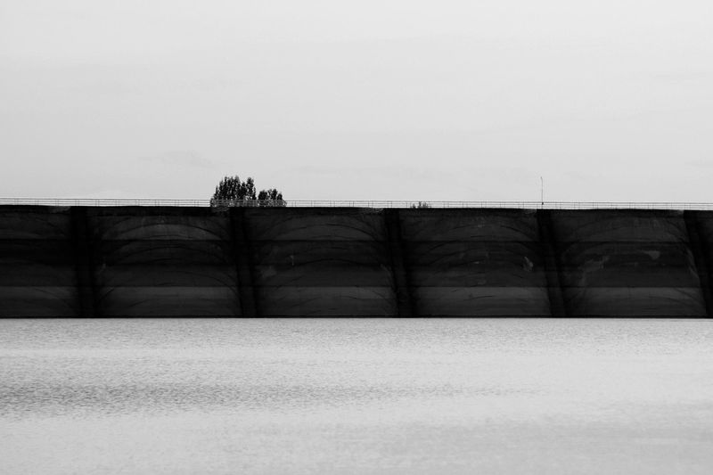 © Meri Boshkoska - Lonely tree