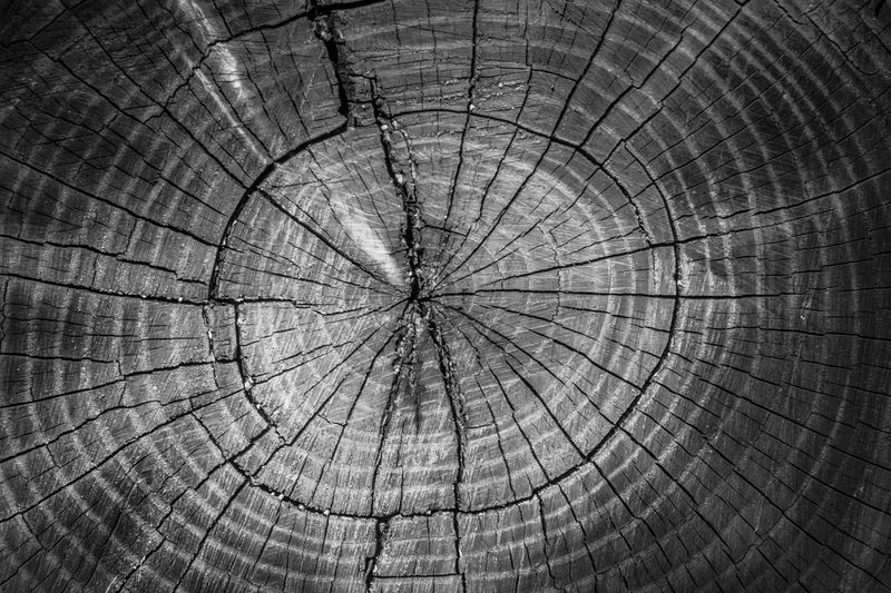 © Meri Boshkoska - Image from the Shapes and Lines photography project