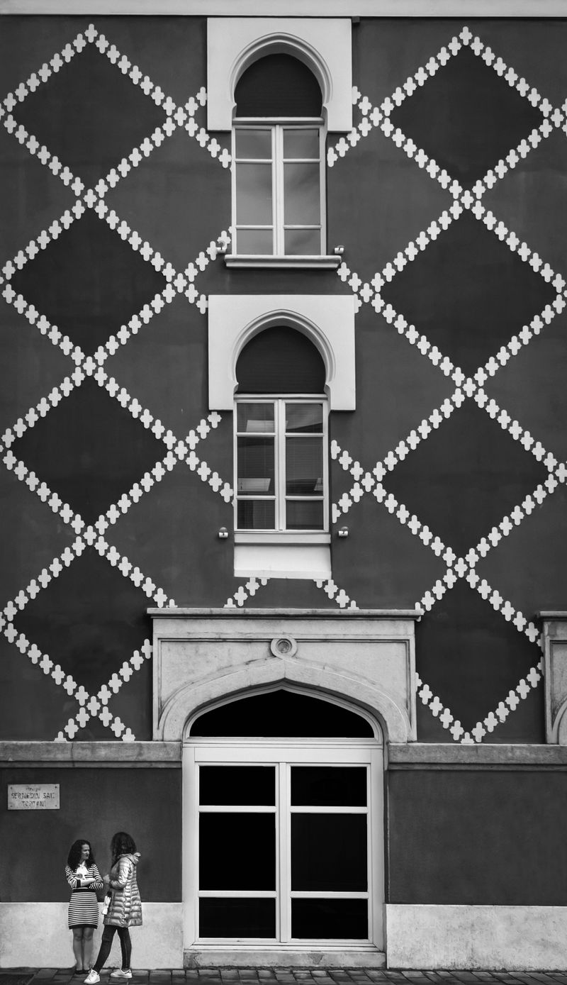 © Meri Boshkoska - Friends till the end