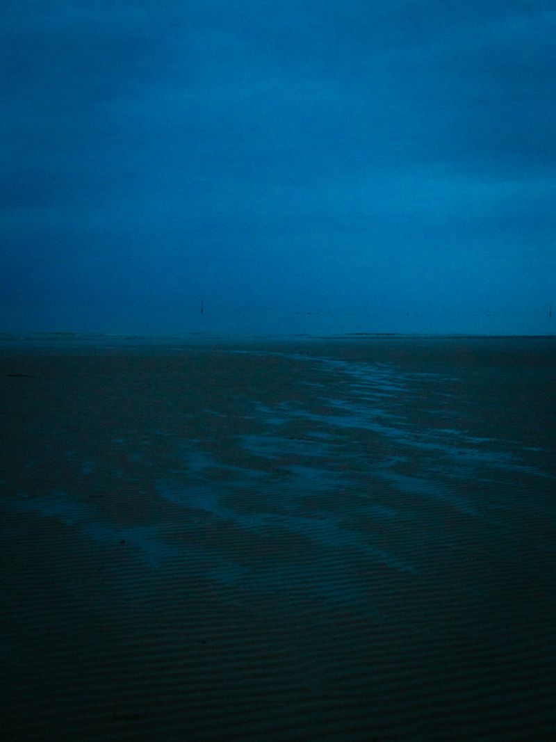 © Lea Franke - "Wadden Sea at night"