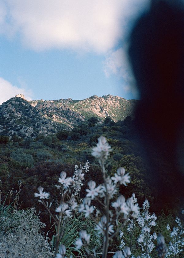 © Angèle Marignac-Serra - Image from the Isula Anima photography project