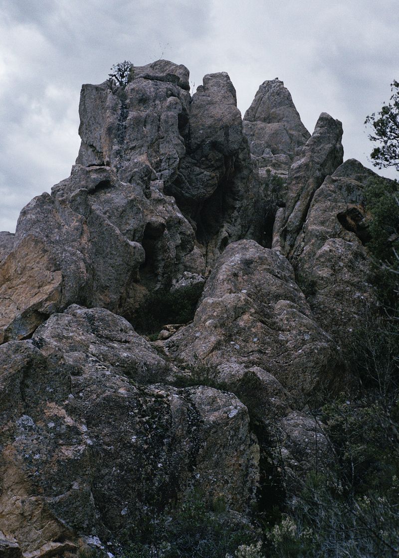 © Angèle Marignac-Serra - Image from the Isula Anima photography project