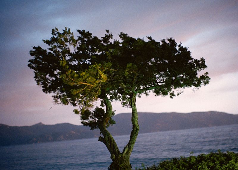 © Angèle Marignac-Serra - Image from the Isula Anima photography project