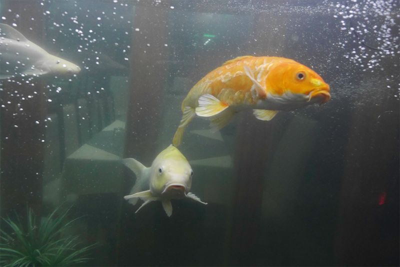 © Min Ma Naing - Image from the Jigsaw photography project