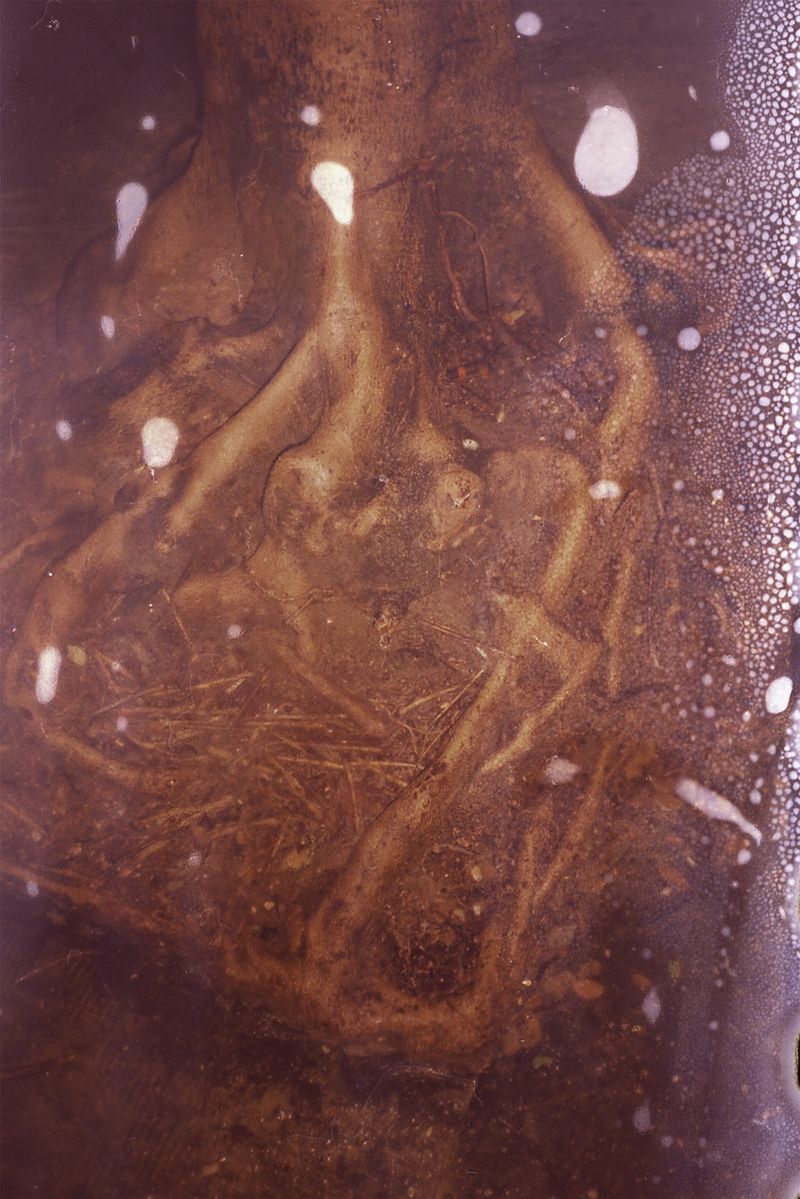 © Min Ma Naing - Image from the Soft Ruins photography project