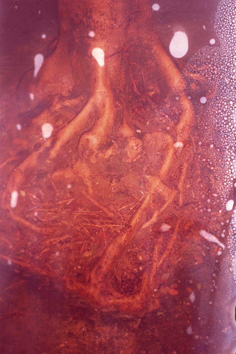 © Min Ma Naing - Image from the Soft Ruins photography project