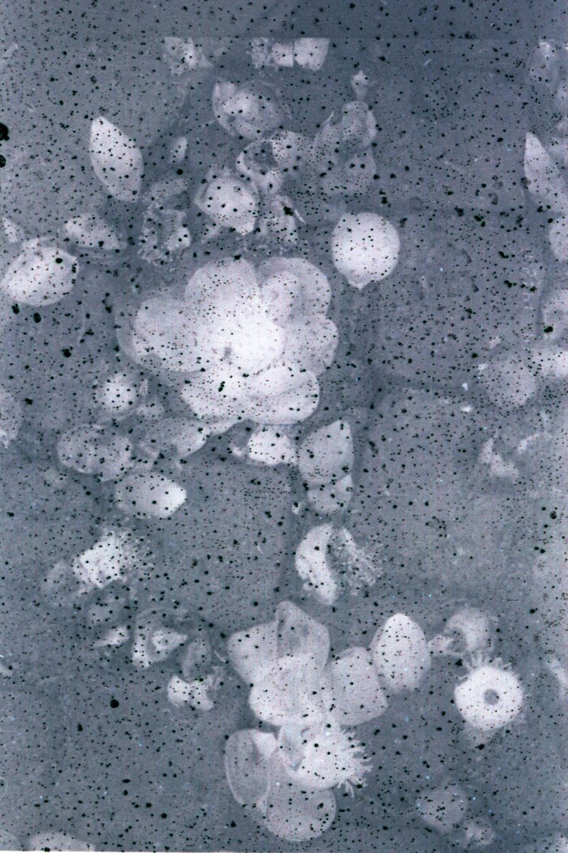 © Min Ma Naing - Image from the When Spring Never Comes photography project