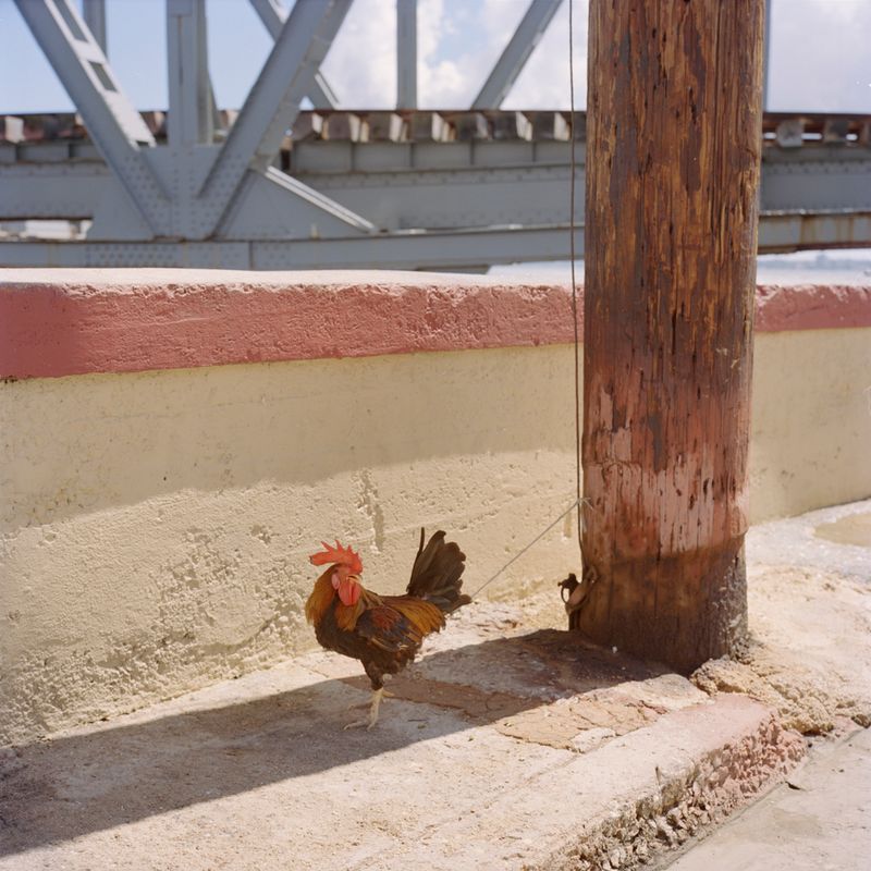 © Michael Vince Kim - Image from the Aenikkaeng photography project