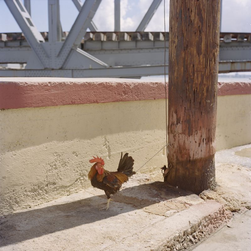 © Michael Vince Kim - Image from the Aenikkaeng photography project