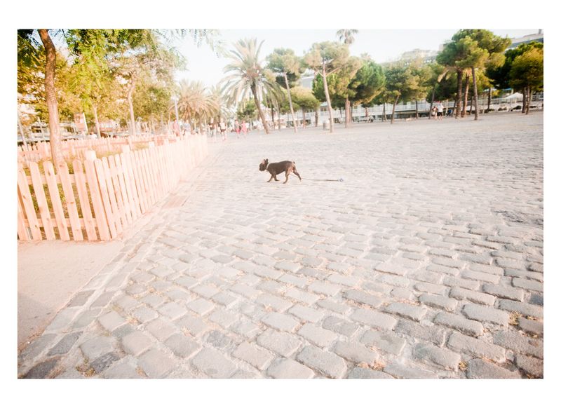 © Claudia Corrent - Image from the Barcelona photography project