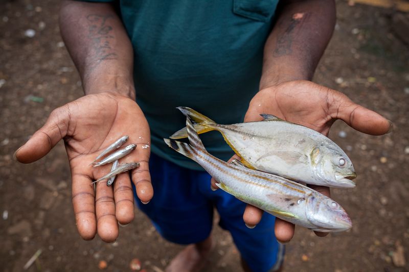 © Morgan Fache - Image from the Chagos: injustice towards the islands photography project