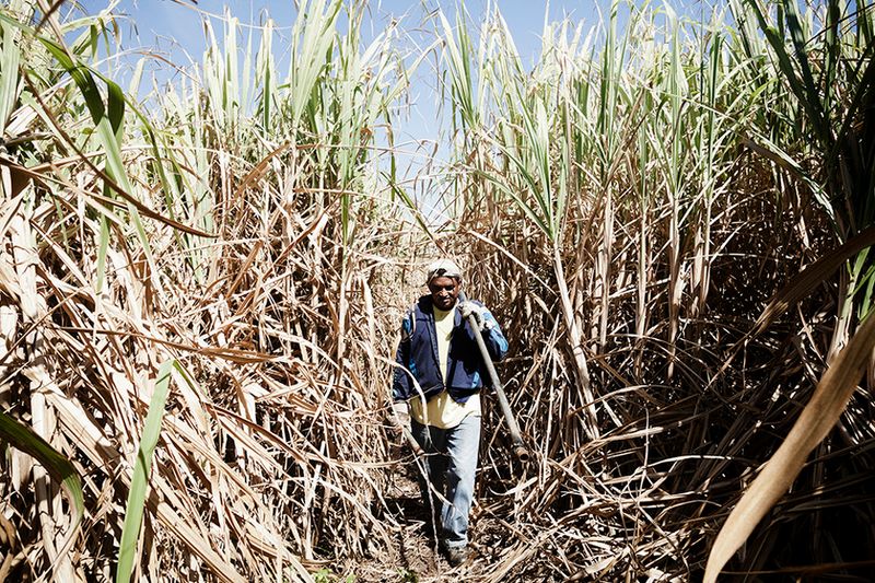 © Morgan Fache - Image from the From India to Reunion Island:From indenture to emancipation photography project