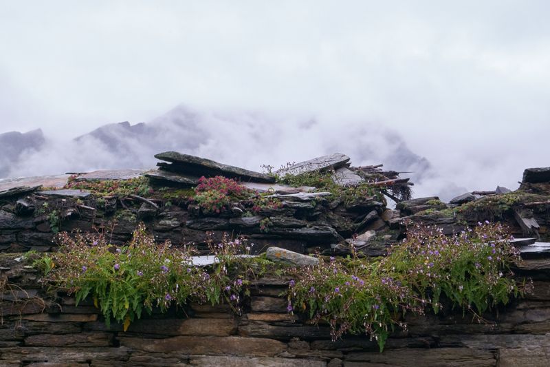 © Chetan Toliya - Image from the Johār photography project