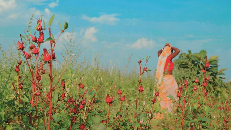 © Chetan Toliya - Image from the Narmada Valley photography project