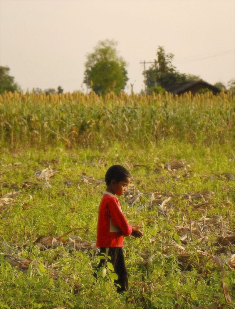 © Chetan Toliya - Image from the Narmada Valley photography project