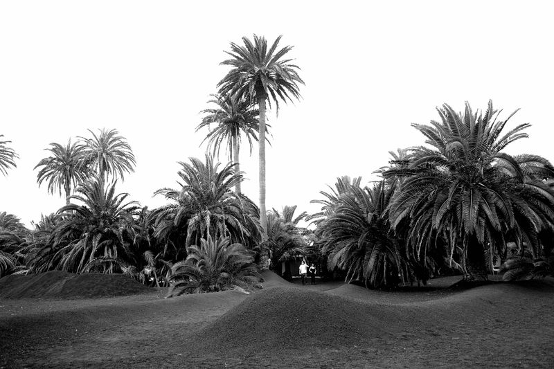 © Margherita Caprilli - Image from the A closer empty photography project