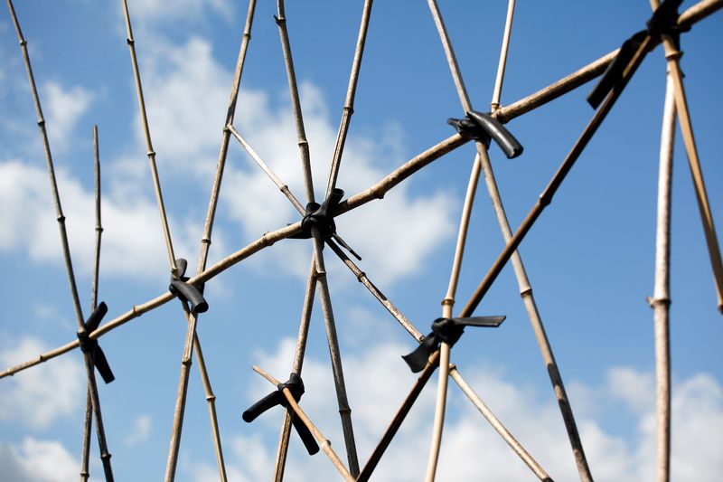 © Anja Ligtenberg - Eindhoven, the Netherlands, Groen Gennip, How to grow beans (1)