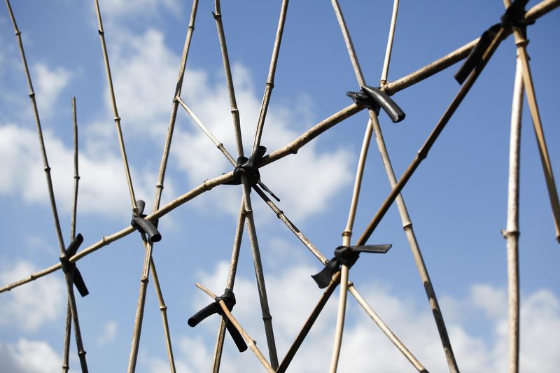 © Anja Ligtenberg - Eindhoven, the Netherlands, Groen Gennip, How to grow beans (1)