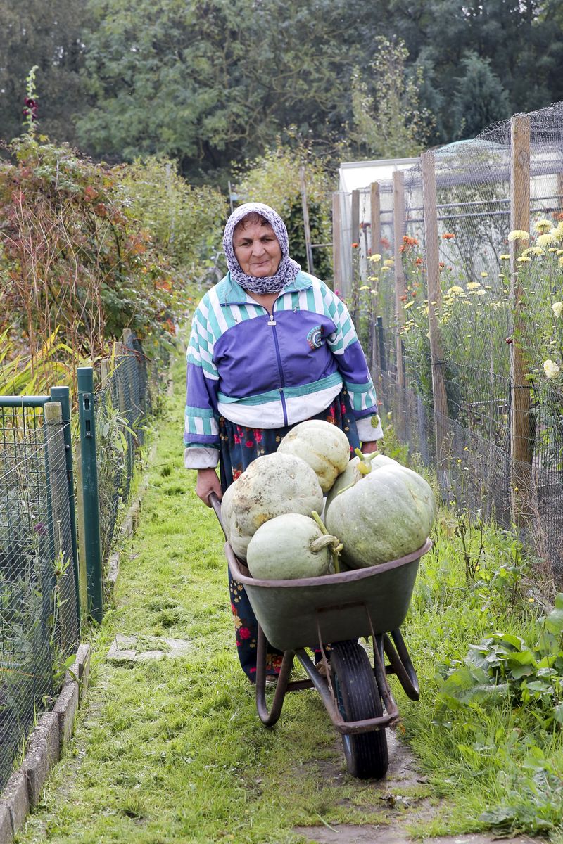 © Anja Ligtenberg - Eindhoven, the Netherlands, Groen Gennip, Harvest