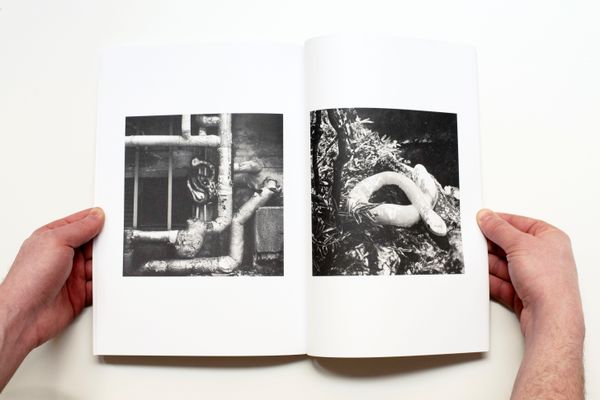 © Witty Books - Image from the Murmur by Tomoko daido photography project