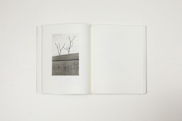 © Witty Books - Image from the Jardin by Massao Mascaro photography project