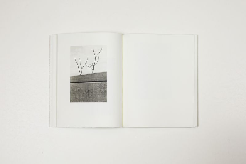 © Witty Books - Image from the Jardin by Massao Mascaro photography project