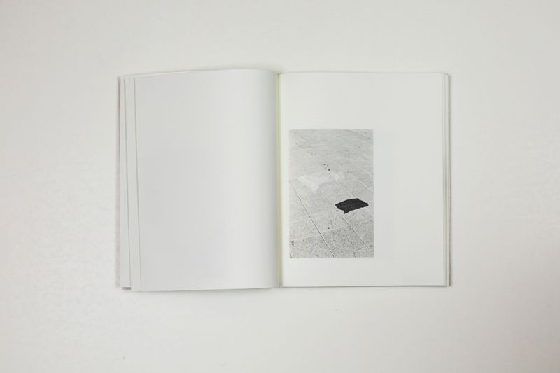 © Witty Books - Image from the Jardin by Massao Mascaro photography project