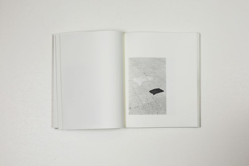 © Witty Books - Image from the Jardin by Massao Mascaro photography project