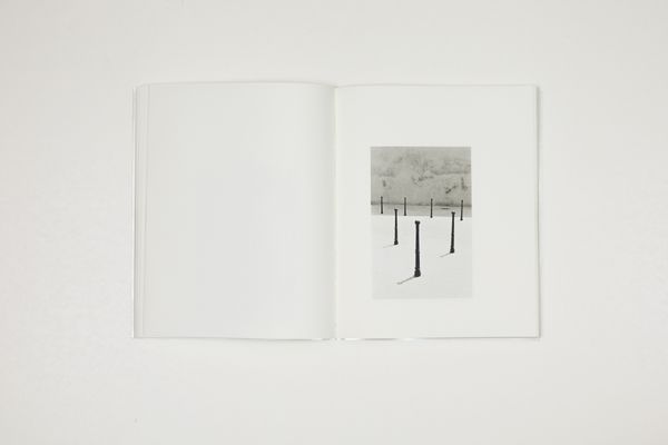 © Witty Books - Image from the Jardin by Massao Mascaro photography project