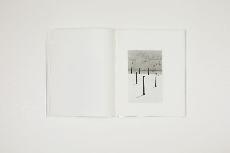 © Witty Books - Image from the Jardin by Massao Mascaro photography project