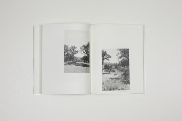 © Witty Books - Image from the Jardin by Massao Mascaro photography project