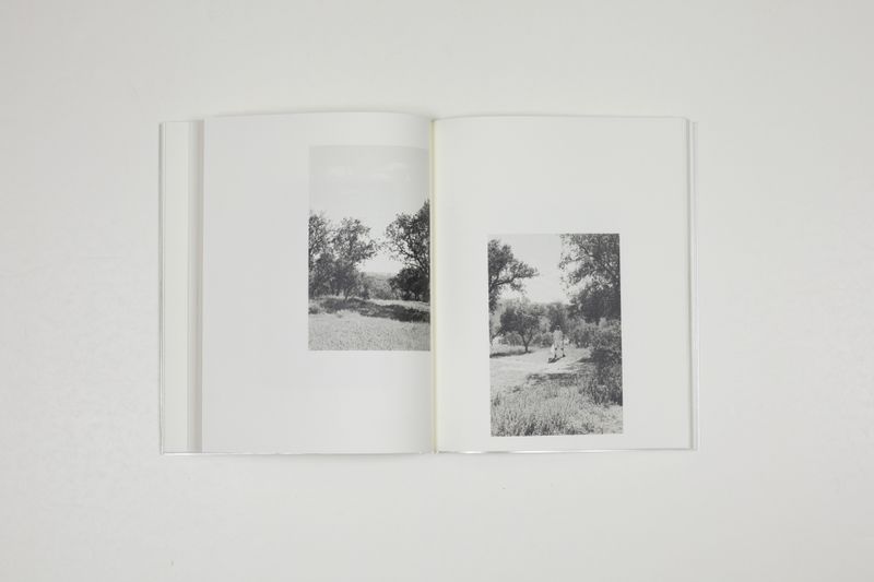 © Witty Books - Image from the Jardin by Massao Mascaro photography project