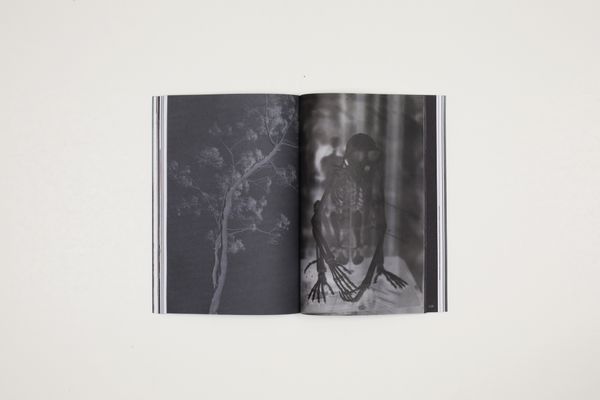 © Witty Books - Image from the The y by alba zari photography project