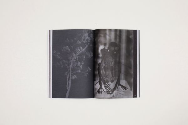 © Witty Books - Image from the The y by alba zari photography project